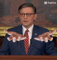 Speaker Of The House GIF by Respective