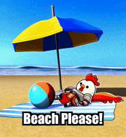 Weekend Vacation GIF by Zorooster
