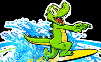 lakecompounce lakecompounce GIF