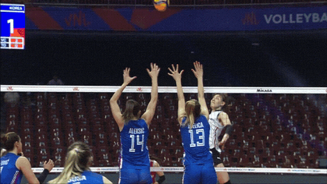 No Way Sport GIF by Volleyball World