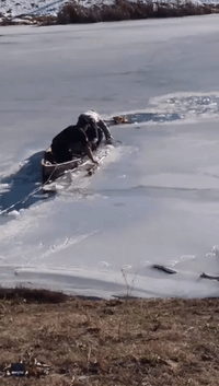 Community Bands Together to Save Dog From Frozen Pond in Arkansas