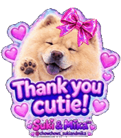 Chow Chow Thank You Sticker