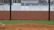 vwu_marlins marlins vwu wethebeach virginiawesleyan GIF
