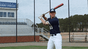 vwu_marlins marlins vwu wethebeach virginiawesleyan GIF