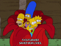 homer simpson GIF
