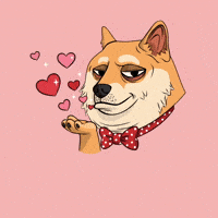 Shiba Inu Love GIF by Doge Pound