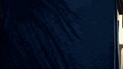 mystery cops GIF by Anime Crimes Division