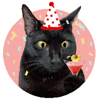 Happy Birthday Cheers Sticker