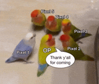Pixel Bird GIF