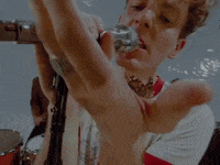 Butterfly Dreamland GIF by COIN