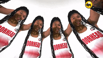 Msumxctf GIF by MSUM Dragons