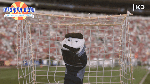 football soccer GIF by Garbaim