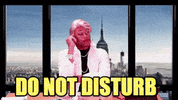 RobertEBlackmon nyc diva parody go away GIF