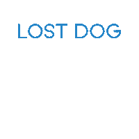 Lost Dog Sticker by ccvnola