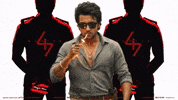 Mollywood GIF