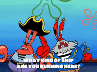 season 6 grandpappy the pirate GIF by SpongeBob SquarePants