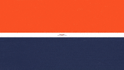 Uva Football GIF by Virginia Athletics