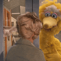 Sesame Street Bird GIF by Bell Brothers