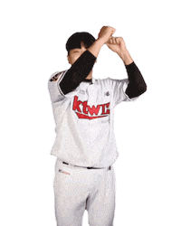 Baseball 케이티 Sticker by kt wiz