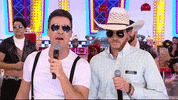 Faro Dancagatinho GIF by Record TV