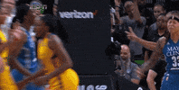 Lets Go Basketball GIF by WNBA