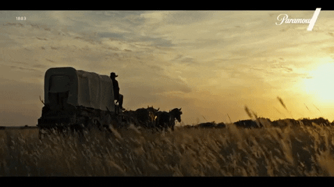 robot2000x giphyupload GIF