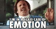 anchorman ron burgandy GIF