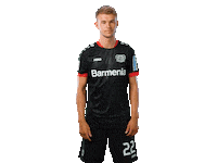 Bayer 04 Werkself Sticker by Bayer 04 Leverkusen