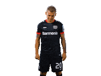 Bayer 04 Werkself Sticker by Bayer 04 Leverkusen