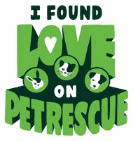 Pet Adoption GIF by PetRescue