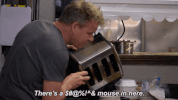 gordon ramsay fox GIF by Gordon Ramsay's 24 Hours to Hell and Back