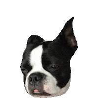 faded STICKER by imoji