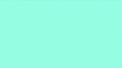 GIF by Hey Duggee