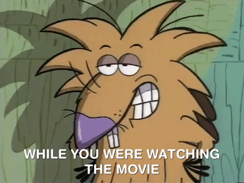 nickrewind giphydvr nicksplat angry beavers giphyab010 GIF