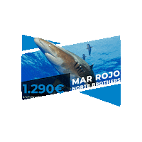 Sticker by NEXTGEN Diving Travel