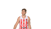 Kkcz Delije Sticker by BC Crvena zvezda