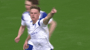 Happy Football GIF by FC Schalke 04