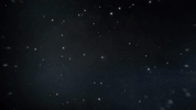 theweeklytv GIF by The Weekly with Charlie Pickering