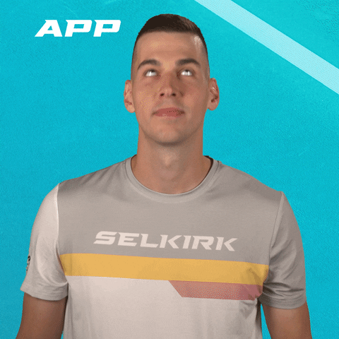 Pickleball Point Up GIF by APP