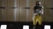 hawks GIF by University of Iowa Hawkeyes Athletics