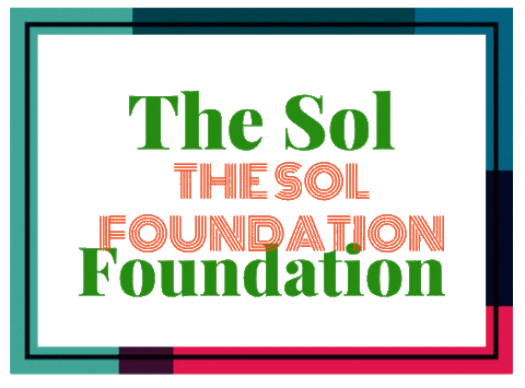 Party Love Sticker by The SOL Foundation