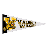 High School Football Sticker by GPB Sports