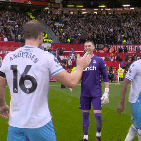 Premier League Hug GIF by Crystal Palace Football Club