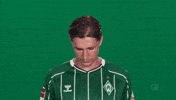 Werder Bremen GIF by Bundesliga