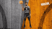 Sport Basketball GIF by Basket_fi