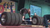 bo tires GIF