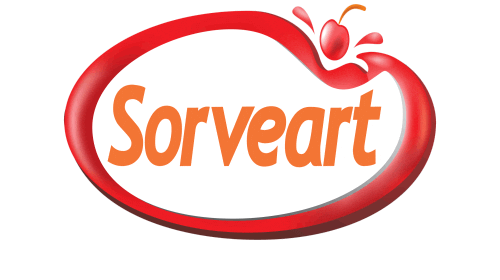 sorveart giphyupload brasil brazil sorvete Sticker