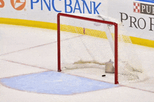 Hockey Goalie GIF