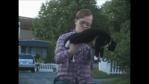 diannadyer giphygifmaker GIF