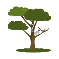 Zoofari amor familia vida naturaleza Sticker